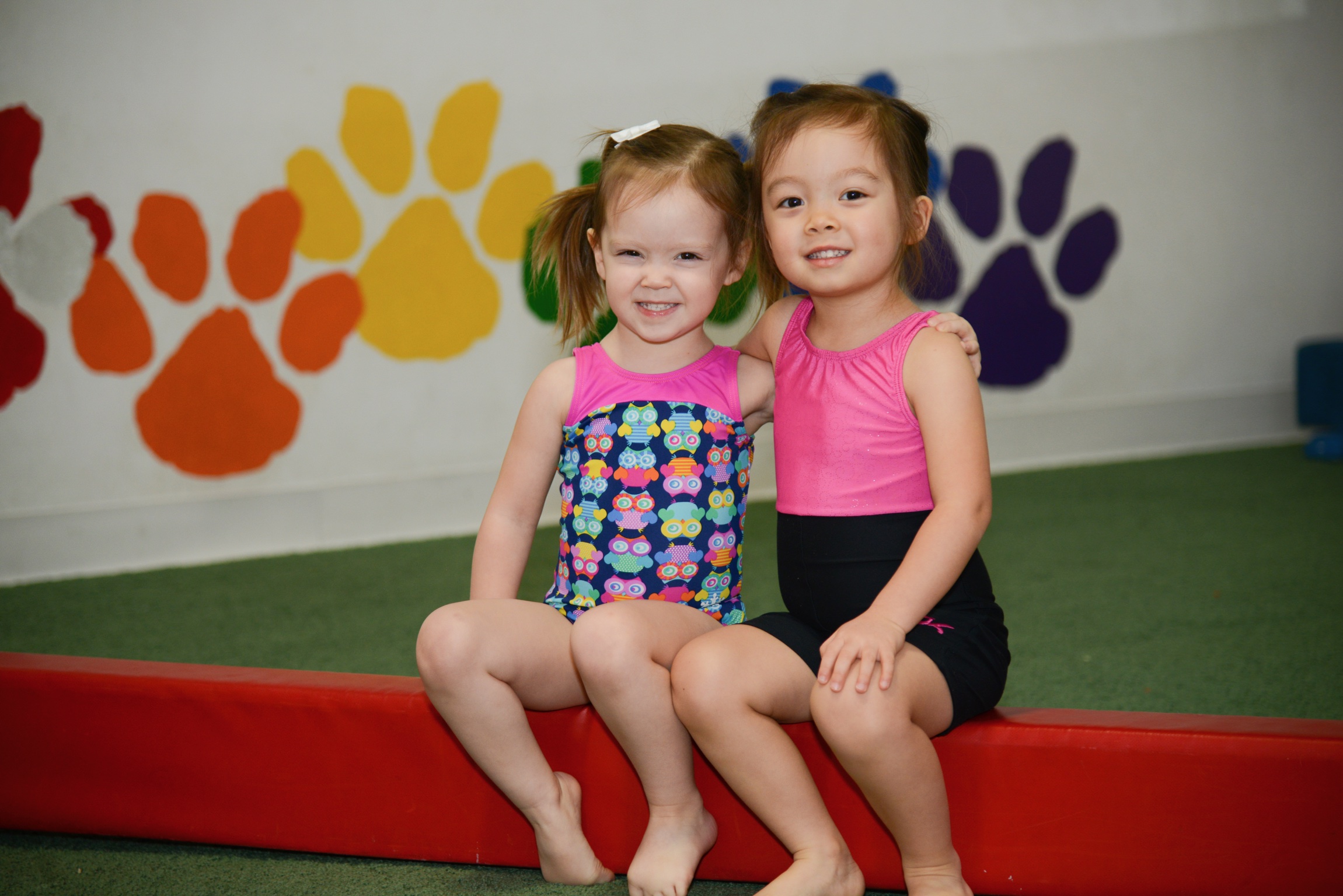 Preschool Gymnastics in St Louis At Spirits Gymnastics Club