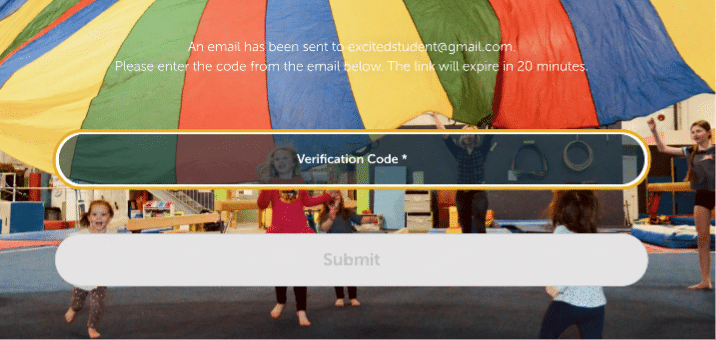 Enter the verification code sent to your email