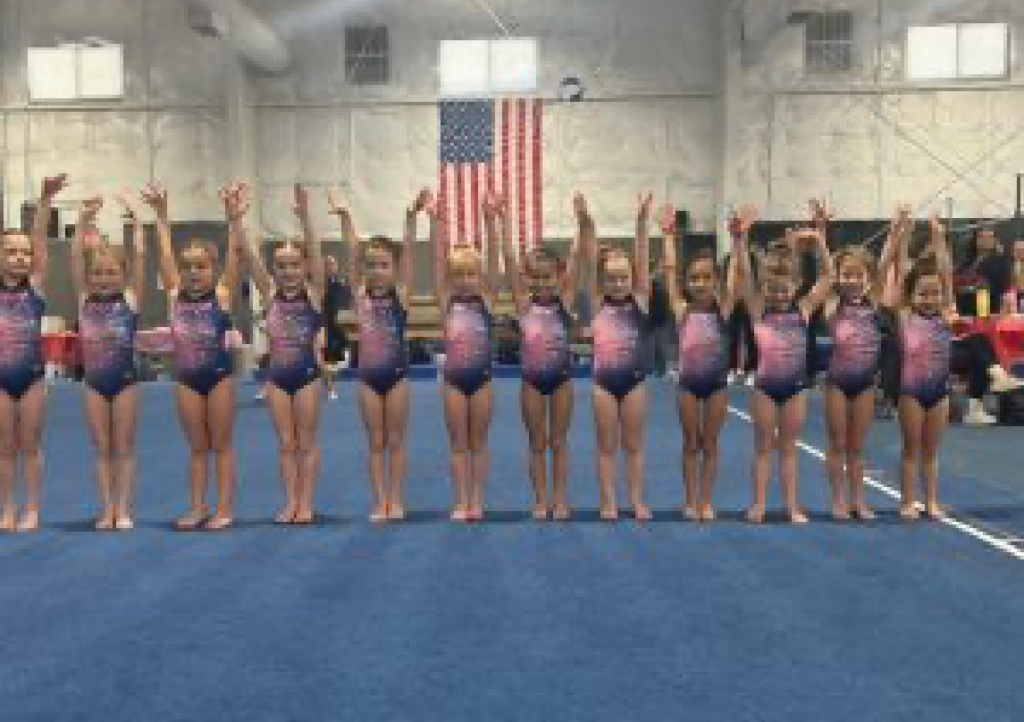 Gymnastics Team